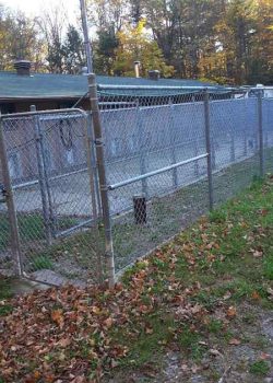 outside path in forest