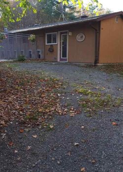 outside of Kennel