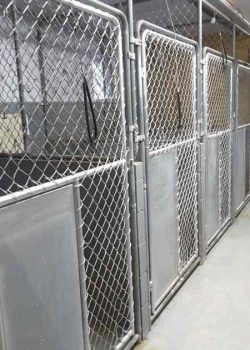 Pakenham Country Kennels indoor setting