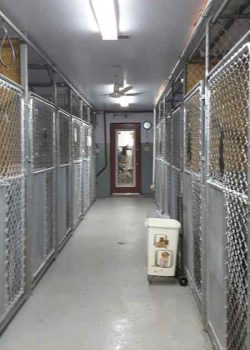 Inside accomodation units