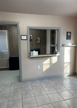 inside of Pakenham Country Kennels